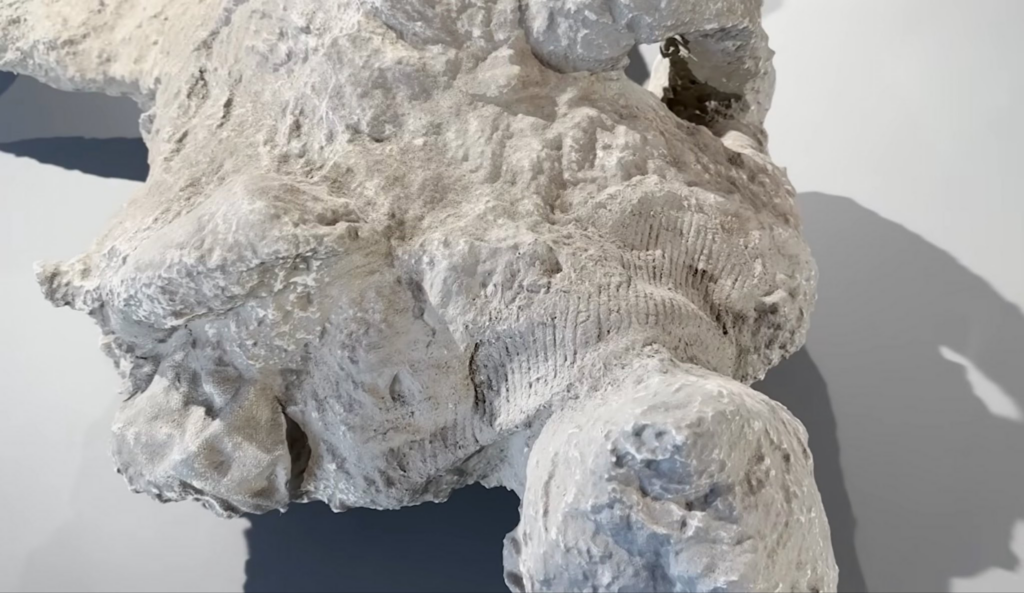 Calco de una de las víctimas de la villa de Cività Giuliana que viste una túnica de lana